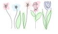 Set of beautiful spring flowers on white background, one continuous line, black contour art colored spots gentle pastel color,