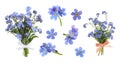 Set with beautiful tender forget me not flowers on white background. Banner design Royalty Free Stock Photo