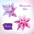 Set of beautiful tropical watercolor flowers. Royalty Free Stock Photo