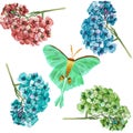 Set of beautiful watercolor hydrangeas and butterflies on a white background. Spring garden flowers, greenery, wedding