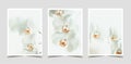 Set of beautiful White Phalaenopsis orchid flowers on pastel background. Tropical flower, branch of orchid close up Royalty Free Stock Photo