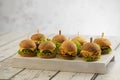 Set of Beef and Chicken mini burgers with cheese and lettuce Royalty Free Stock Photo