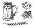 Set of beer components design elements.