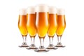 Set of Beer glasses on a white background. Mugs with drink like Ipa, Pale Ale, Pilsner, Porter or Stout Royalty Free Stock Photo