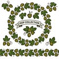 Set of beer hop branches, cones, and leaves plus beer hop seamless border and wreath of hop. Vector illustration Royalty Free Stock Photo