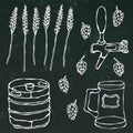 Set of Beer Objects: Hop, Malt, Mug, Tap, Keg. on a Black Chalkboard Background. Realistic Doodle Cartoon Style Royalty Free Stock Photo