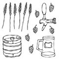 Set of Beer Objects: Hop, Malt, Mug, Tap, Keg. Isolated On a White Background. Realistic Doodle Cartoon Style Hand Drawn Sketch Ve Royalty Free Stock Photo