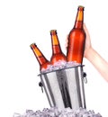 Set of beer's bottles with frosty drops in ice Royalty Free Stock Photo