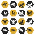 Set of bees