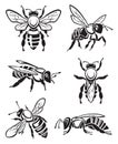 Set of bees