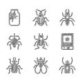 Set Beetle bug, Insect fly, Book about insect, Spider, Ant and jar icon. Vector