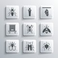 Set Beetle bug, Spider, deer, Insect fly, Hive for bees, Ant and Butterfly cocoon icon. Vector Royalty Free Stock Photo