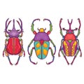 Set of 3 Beetle Bugs, Insect Colorful Hand Drawn Royalty Free Stock Photo