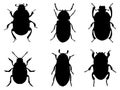 Set of Beetle Silhouette vector art on a white background