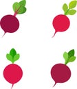A Set Of Beetroot Vector Illustration Royalty Free Stock Photo