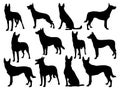 Set of Belgian Malinois dog silhouette vector art