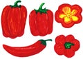 Set of bell peppers and hot peppers. raster illustration, felt-tip pen drawing