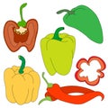 set of bell peppers red, yellow, green, hand-drawn. Whole peppers, halves with seeds and cut into pieces. Food, vegetables in