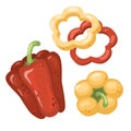 set of bell peppers on a white background. Yellow and red paprika, slices, rings. Vector illustration of vegetables in a cartoon Royalty Free Stock Photo