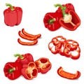 Set of bell peppers. Whole, half, sliced, wedges capsicum. Vector illustration.