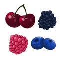 set of berries raspberry, blackberry, blueberry, cherry