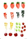 Set of berries: strawberry, black, red, white currant, cherry, gooseberry. Watercolor illustration isolated on white background Royalty Free Stock Photo