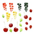 Set of berries: strawberry, black, red, white currant, cherry, gooseberry. Watercolor illustration isolated on white Royalty Free Stock Photo