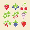 Set of berry food icon