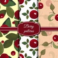 Set Berry Patterns