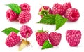 Set berry raspberry with green leaf collection Royalty Free Stock Photo