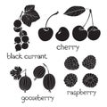 Set of berry silhouettes on a white background. Raspberry, goos