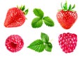 Set berry strawberry and raspberry with green