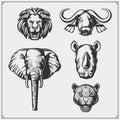 Set of Big Five animals. Lion, elephant, rhino, leopard and buffalo. Royalty Free Stock Photo