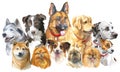 Set of big and small dog breeds