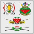 Set of billiards labels, emblems, badges, icons and design elements.