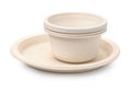 Set of biodegradable plastic dishware