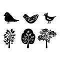 Set of bird and botanical vector motif. Collection of garden wildlife and woodland songbirds.