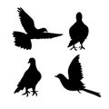 Set of bird dove icon flying in sky and sitting. Flat cartoon character design. Black cute peace pigeon silhouette template.