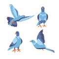 Set of bird dove icon flying in sky and sitting. Flat cartoon character design. Cute peace pigeon silhouette template. Vector