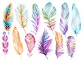 Large set of multicolored feathers of birds. Watercolor drawing Royalty Free Stock Photo