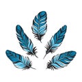 Set of bird fluffy feathers. Vintage style elements. Vector collection