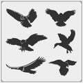 Set of bird silhouettes. Raven, eagle, owl, falcon, hawk and duck. Print design for t-shirts. Royalty Free Stock Photo