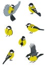 Set of Birds Royalty Free Stock Photo