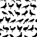 Set of birds