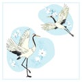 Set of birds. Crane, stork, heron. Vector. Royalty Free Stock Photo