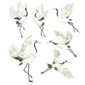 Set of birds. Crane, stork, heron. Vector. Royalty Free Stock Photo