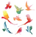 Set of birds in flight. Watercolor silhouettes