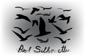 Set of birds silhouettes vector icon Royalty Free Stock Photo