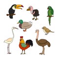 Set of birds vector Cartoon birds