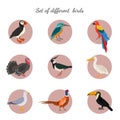 Set of birds on white background. Royalty Free Stock Photo